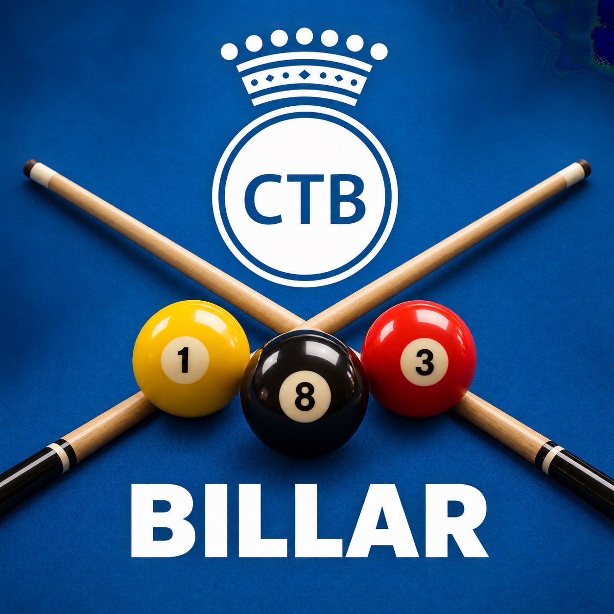 perfil-seccio-billar CTB.jpg